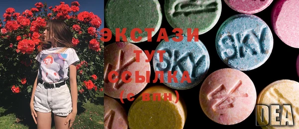 ECSTASY Алзамай