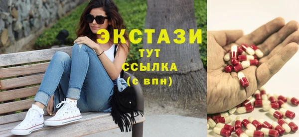ECSTASY Алзамай