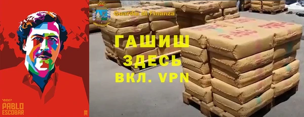 ECSTASY Алзамай