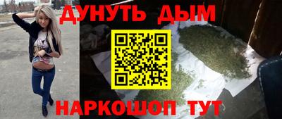 шишки Гай