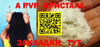 шишки Гай