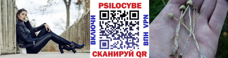 даркнет клад как найти закладки omg маркетплейс Красноярск Псилоцибиновые грибы MAGIC MUSHROOMS