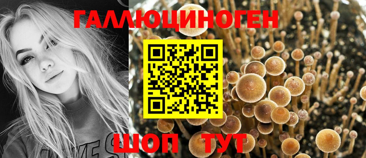 Красноярск  Галлюциногенные грибы Magic Shrooms  наркота  Вход с VPN 