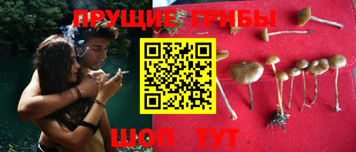 Псилоцибиновые грибы MAGIC MUSHROOMS Красноярск